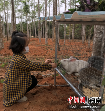 微信图片_20210210081659.png