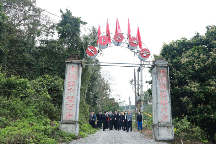 IMG_2806.jpg IMG_2806.jpg