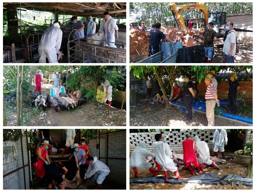 微信图片_20191231210920_副本.jpg 微信图片_20191231210920_副本.jpg